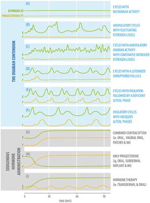 Frontiers Steroid Hormones and Their Action in Women s Brains